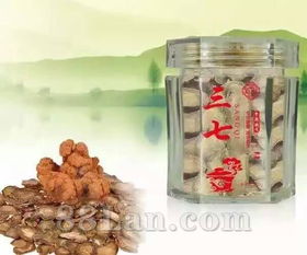 三七與兆升中藥飲片 散瘀止血、消腫定痛的傳統(tǒng)瑰寶