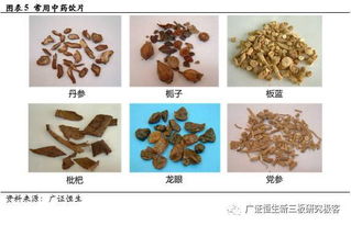 源和藥業(yè)（833379） 新渠道拓展與新產(chǎn)品布局，中藥飲片業(yè)務(wù)增長可期